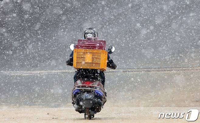 /뉴스1 자료 사진