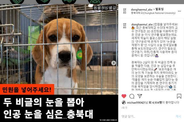 동물해방물결은 본보 보도를 인용하며 충북대 수의대의 연구윤리를 비판하는 캠페인을 전개하고 있다. 동물해방물결 인스타그램 캡처