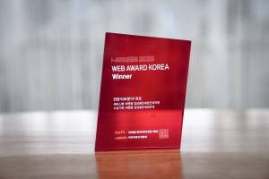 비앤빛 강남밝은세상안과가 '웹어워드 코리아 2020' 데스크탑웹 전문의료분야 대상을 수상했다./사진=비앤빛 강남밝은세상안과 제공