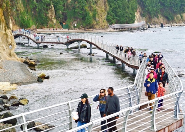 지난해 138만 명의 관광객이 찾은 포항 호미반도둘레길.