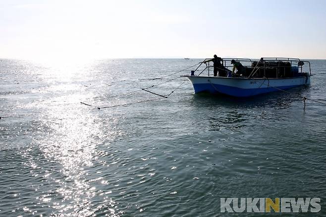 김 양식 채취선 모습.