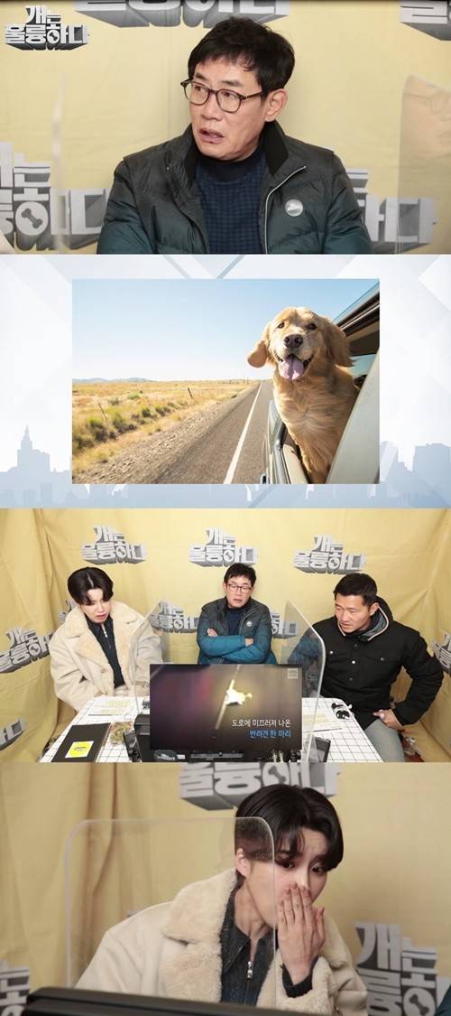 ‘개는 훌륭하다’ 강형욱이 반려견이 자동차에 탑승했을 때 지켜야 할 안전수칙에 대해 언급한다. 사진=KBS