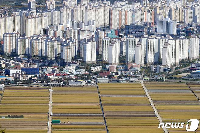 2019년 10월 대구 달성군 대니산 정상에서 바라본 대구테크노폴리스 내 아파트. 2019.10.13/뉴스1 © News1 공정식 기자