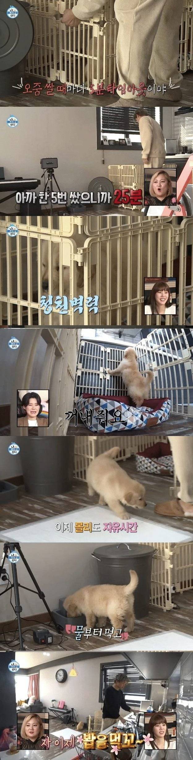 사진=MBC '나 혼자 산다' 방송화면