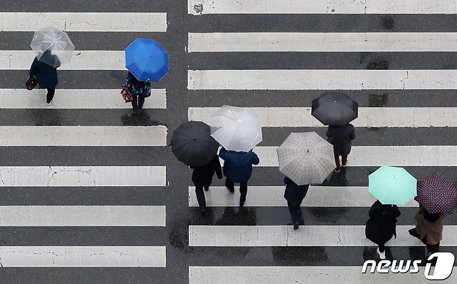 26일 비가 내리는 대구 도심의 한 횡단보도에서 우산을 쓴 시민들이 발걸음을 재촉하고 있다. 2021.1.26/뉴스1 © News1 공정식 기자