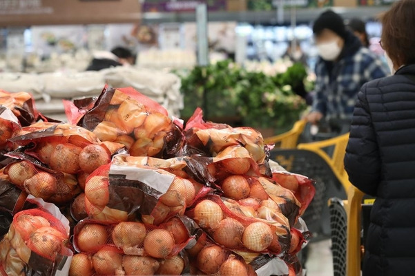 서울의 한 대형마트에서 소비자가 양파를 보고 있다./연합뉴스