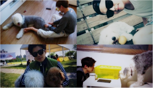 ⓒ박은석과 반려동물