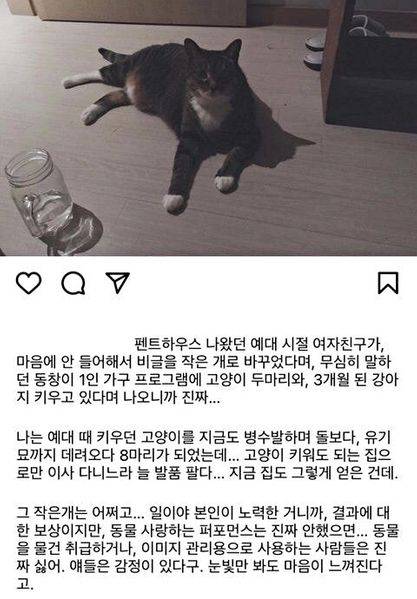 ⓒ온라인 커뮤니티