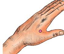 합곡혈/사진=헬스조선 DB