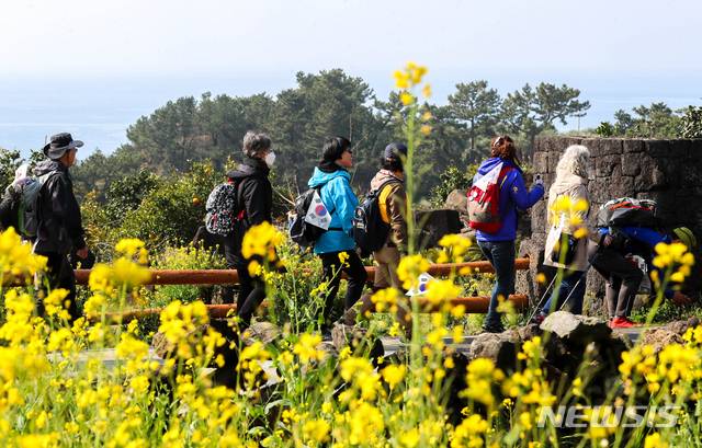 [서귀포=뉴시스] 우장호 기자 = 1일 오전 제주 서귀포시 월평동 월평아왜낭목에서 100주년 3·1 운동 기념 올레길 8코스 함께 걷기 행사가 열린 가운데 유채꽃이 활짝 핀 길을 참가자들이 걸어가고 있다. 2019.03.01. woo1223@newsis.com