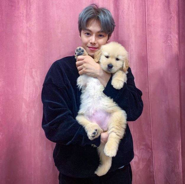 박은석 강아지 파양 의혹 / 사진=박은석 SNS