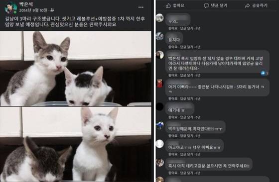 /사진=B씨가 박은석 팬카페에 올린 사진