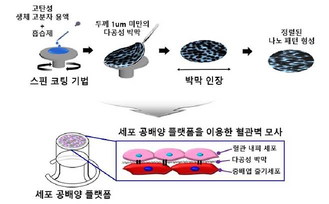세포 공배양 플랫폼 제작과정 모식도 [KIST 제공. 재판매 및 DB 금지]