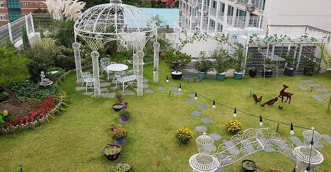 삭막한 옥상을 생명이 살아 숨 쉬는 녹지 공간으로 [대구시 제공. 재판매 및 DB 금지]