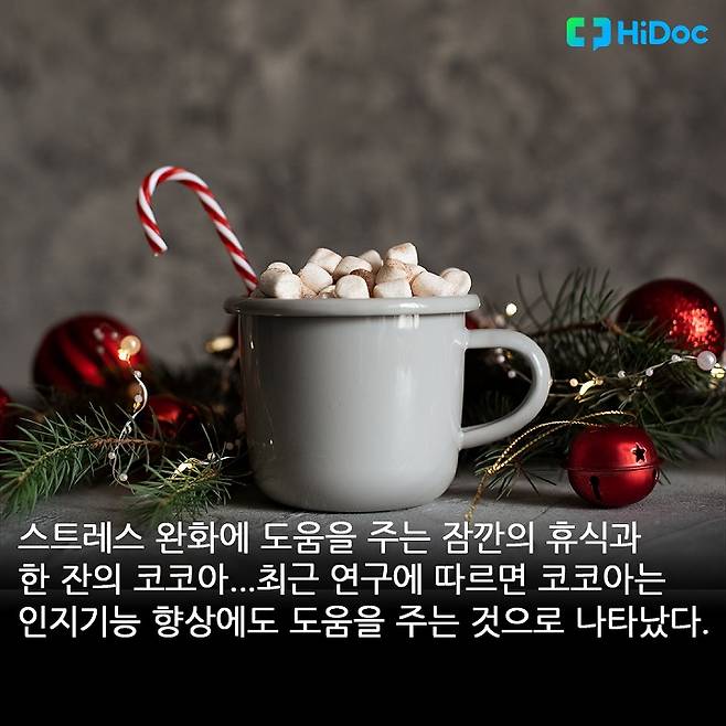 코코아 1