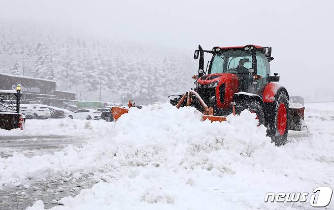 자료 사진. © 뉴스1