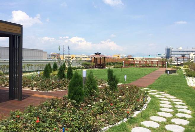 대구 서구청의 옥상 녹화 사업 현장, 대구시 제공