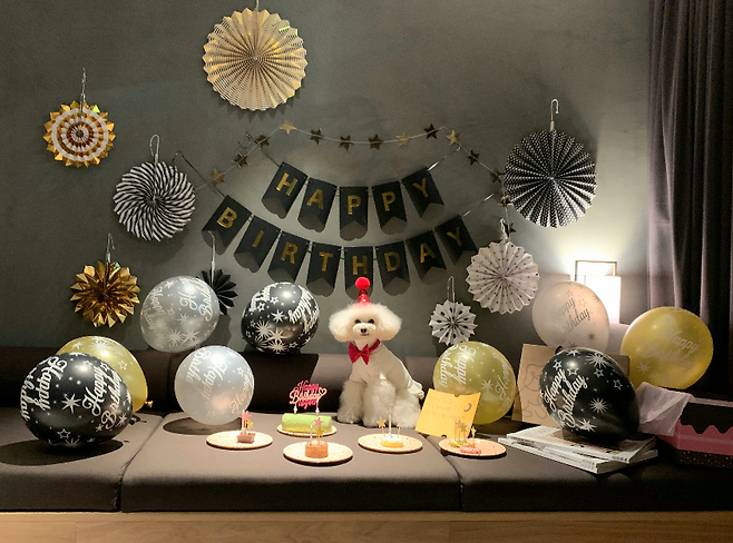 [사진 = 소노호텔&리조트]