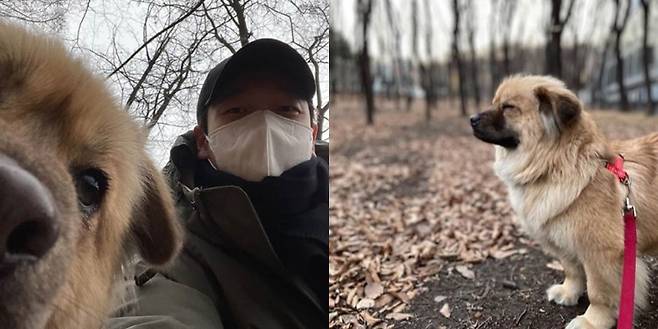 조승우와 산책을 하며 바람을 쐬는 곰자 @goseong_adoption