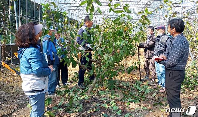 진천군 강소농 모임체 컨설팅.(진천군 제공)© 뉴스1