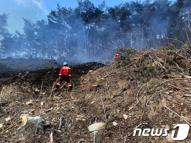 산불재난특수진화대, 산불예방진화대 관계자 등이 진화작업을 벌이고 있다. (산림청 제공)/뉴스1 © News1 송원영 기자