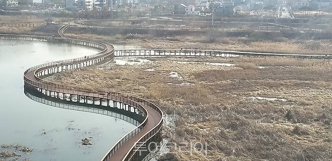 전주 기지제 가로지르는 횡단 산책로 / 사진-전주시