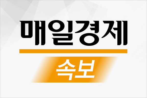 매일경제 자료사진.