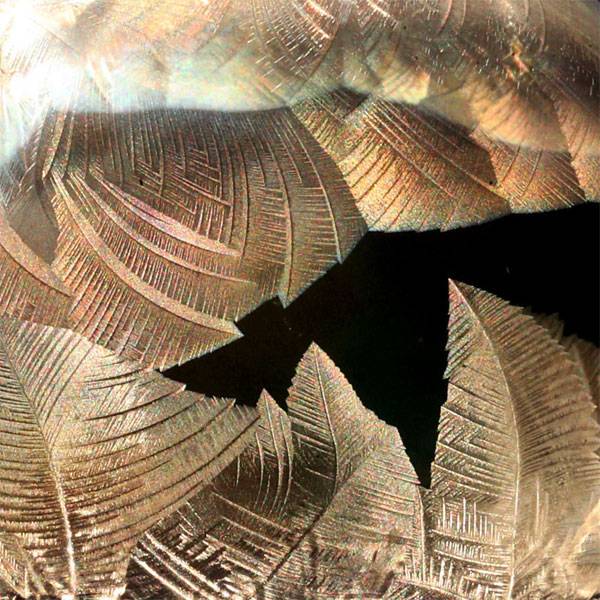 비눗방울막이 줄기로 부터 나뭇잎이 자라나듯이 퍼져나가고 있다.