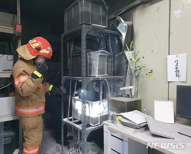 [인천=뉴시스] 김동영 기자 = 29일 오후 7시 13시께 인천 미추홀구 인하대학교 용현캠퍼스 5호관 2층 해양동물학 연구실에서 불이 나 11분 만에 진화됐다.2021. 1.29. (사진=인천소방본부 제공)