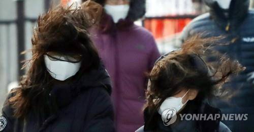 강풍 [연합뉴스 자료사진]