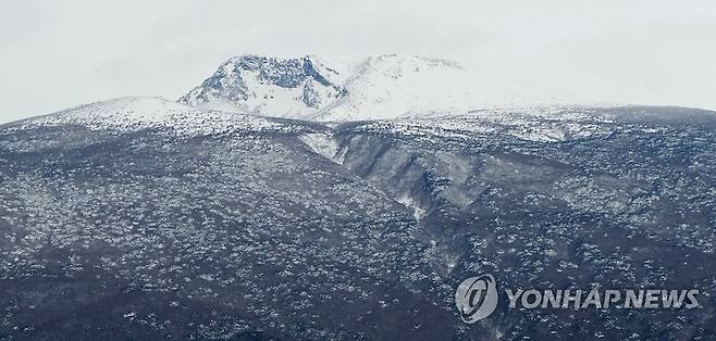 눈 쌓인 한라산 정상부 [연합뉴스 자료사진]