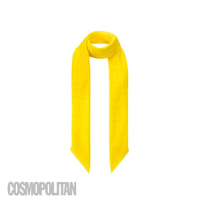 스카프 79만원 루이 비통.