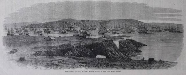 19세기 구아노의 발견으로 한때 천연비료사업의 중심이 되었던 페루의 친차(Chincha)섬. 위키피디아