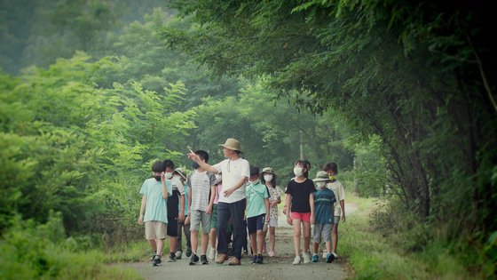전남지역 작은 학교인 강진군 옴천초등학교에서 진행하는 생태친화 교육 프로그램에 참여한 학생들이 숲속에서 공부하고 있다. 사진 전남도교육청