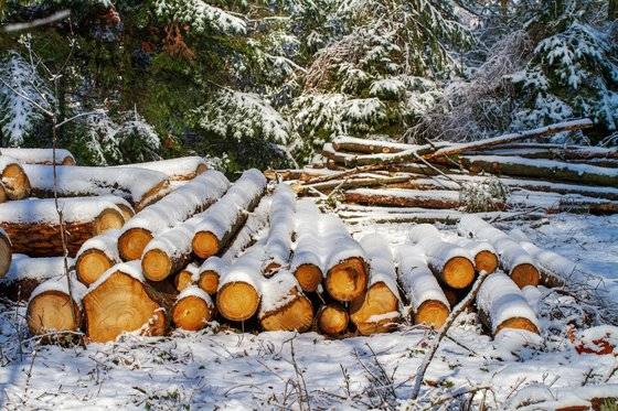 좋은 지원사업에 관한 질문은 1월을 놓치면 소용이 없다. 웬만한 지자체의 지원사업이 1월 말에 지원서를 받고 마감을 하기 때문이다. [사진 pixabay]