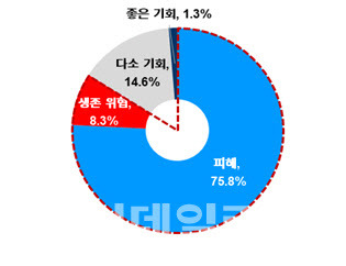 코로나 사태의 영향(자료=대한상의)