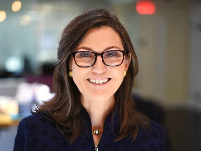 한국 투자자들 사이에서 '돈나무 언니'라는 애칭으로 불리는 캐시 우드 아크인베스트 대표(CEO) .