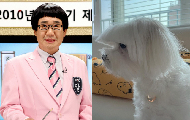 사진=MBC, 아이비 인스타그램