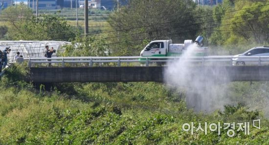 자료사진 [강진형 기자]