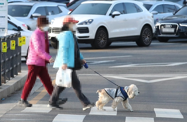 지난 24일 오후 서울 중구의 한 거리에서 시민이 반려견과 산책하고 있다. /연합뉴스