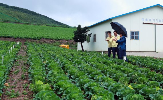 외국산 재료를 수입해 한국에서 김치를 담가 유통하는 사례가 늘며 한국 배추와 무 농가도 타격을 입은 것으로 드러났다. 농가들은 배추와 무 재배지를 줄이고 다른 작물로 변신을 꾀하는 것으로 대응하고 있다. fnDB