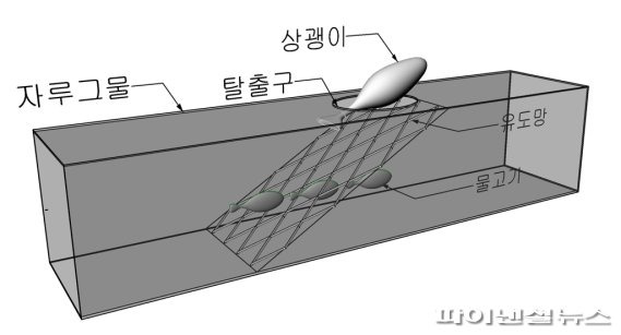 상괭이 탈출장치 개념도 [국립수산과학원 제공] /사진=fnDB