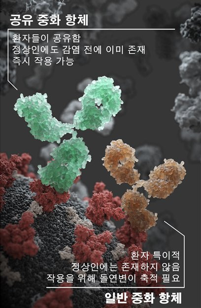 중화항체. 서울대병원 제공