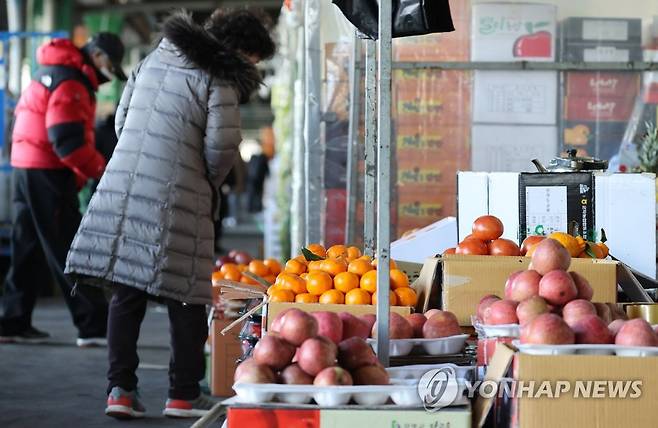 설 차례상 비용 최대 18% 상승 [연합뉴스 자료사진]