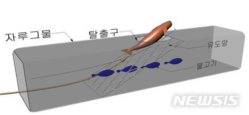 [서울=뉴시스] 상괭이 탈출장치.