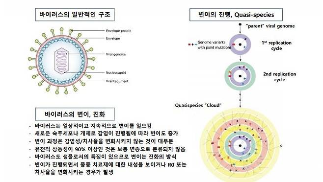 바이러스 변이주와 돌연변이 출현 [한국과학기자협회 제공. 재판매 및 DB 금지]