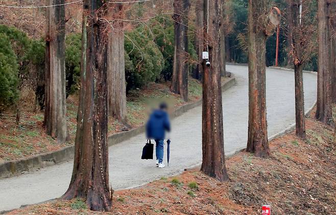 한 아이가 가로수길을 따라 보육원으로 걸어가고 있다. 보육원 아이들은 만 18세가 되면 어쩔 수 없이 보육원을 떠나야 한다. 우리 사회는 한 번 버림받은 아이들을 또 무방비인 채로 내보내고 있다. /김영근 기자