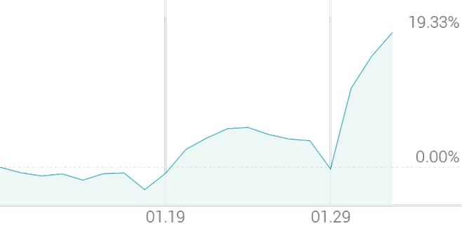 1개월 등락률 +20.00%