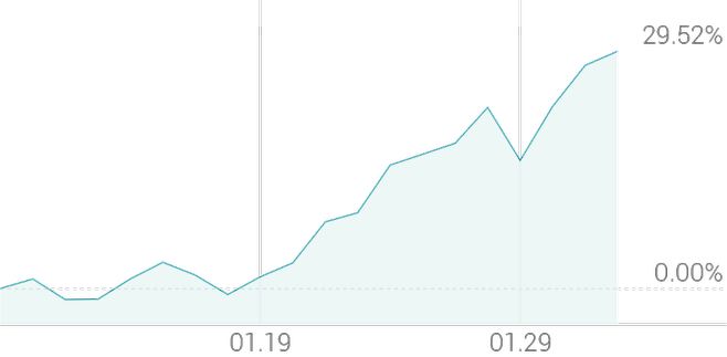 1개월 등락률 +30.51%