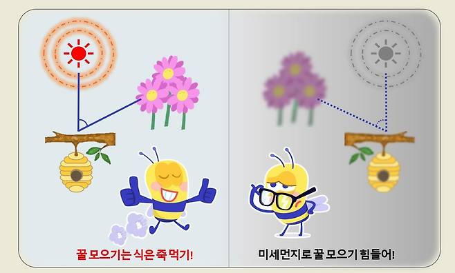 관련 인포그래픽 [국립산림과학원 제공. 재판매 및 DB 금지]